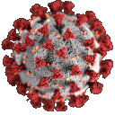 :covid: